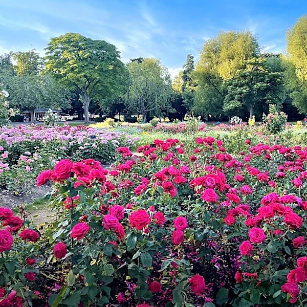 Munsinger-Clemens Gardens: A Blooming Legacy in St. Cloud