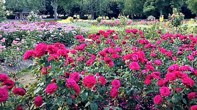 Munsinger-Clemens Gardens: A Blooming Legacy in St. Cloud