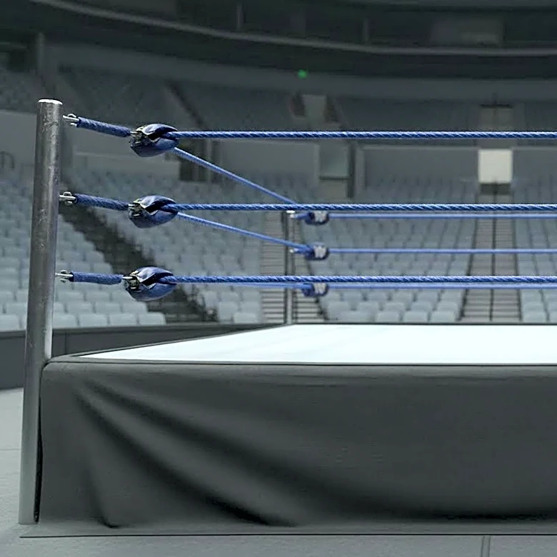 TNA Wrestling Denies Sale Rumors Amidst Organizational Changes