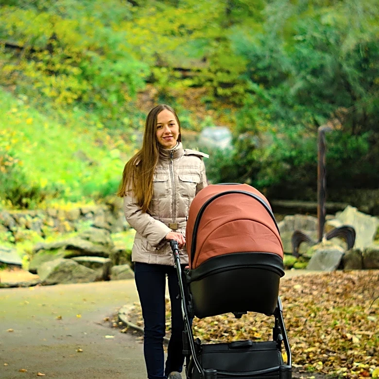 Bugaboo Dragonfly Pushchair Enhances Urban Parenting Experience