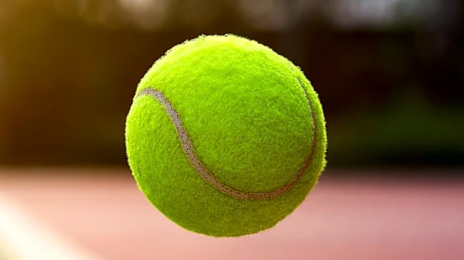 Arthur Fery's Wimbledon Success Highlights Wealth and Determination