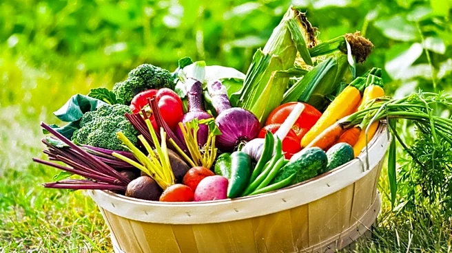 Giving Gardens Expands Free Produce Access in Macomb with New Location