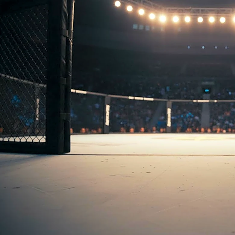 Brandon Royval Seeks Redemption in Flyweight Division at UFC 329