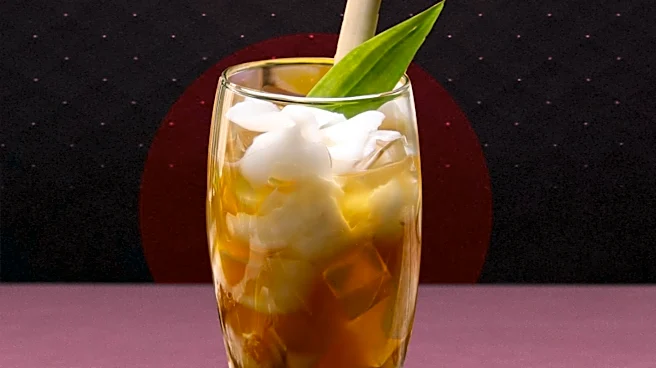 Startups Innovate in Bar Category with Unique Flavors and Ingredients