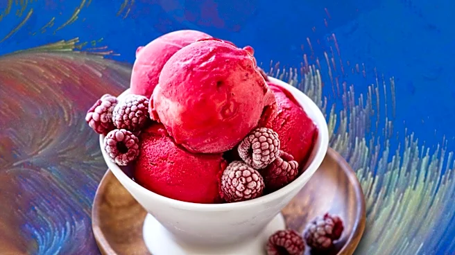 Sorbet Sorority Launches Dairy- and Gluten-Free Flavors in Michigan