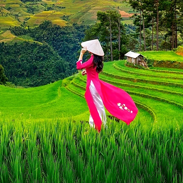 U.S. Farm Exports to Vietnam Surge Amid Growing Demand for Agricultural Products
