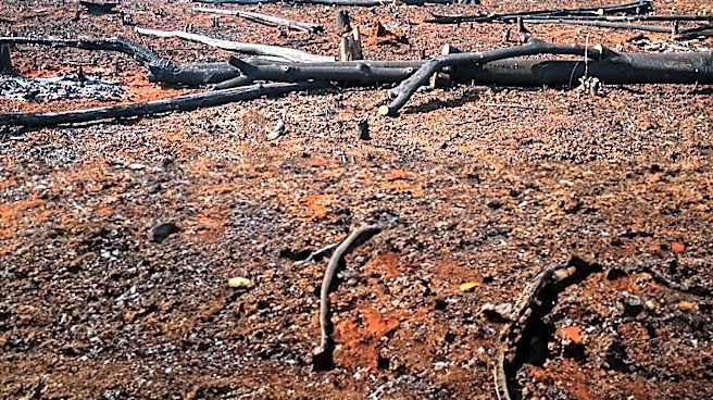 Addressing Ecological Grief: The Need for Mourning Environmental Loss
