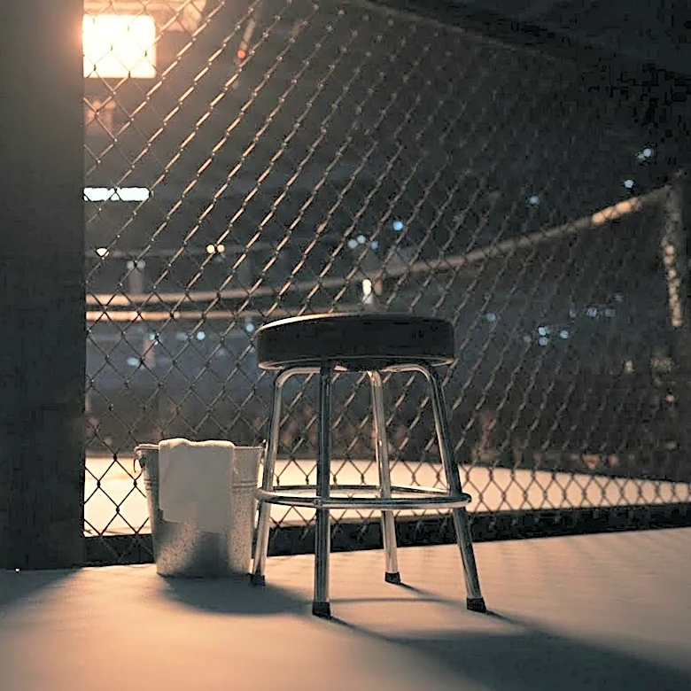 Conor McGregor Prepares for UFC Comeback Against Max Holloway at UFC 329