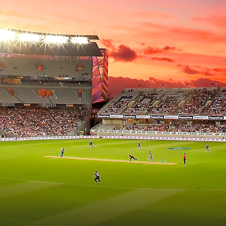PwC Sponsors Texas Cricket Team Amidst New Leadership Appointments