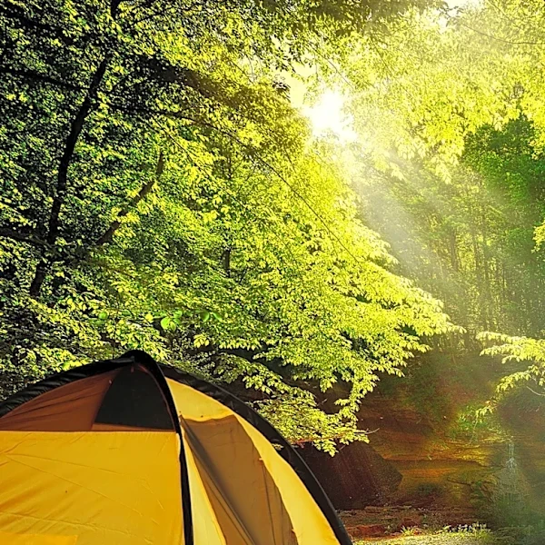 NBC News Highlights Best Camping Tents for 2026: A Guide for Outdoor Enthusiasts
