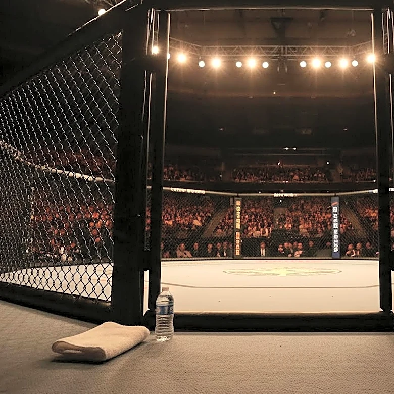UFC 329: Sandhagen and Bautista Prepare for High-Stakes Bout in Las Vegas