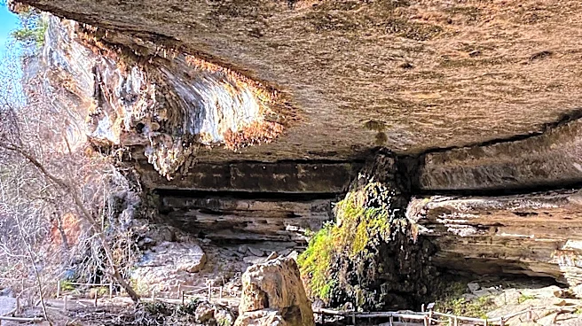 Wimberley, Texas: A Hidden Gem for Nature Enthusiasts
