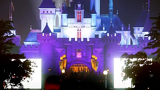 Disneyland Offers Cheaper Evening Passes Amid Speculation of Economic Strategy
