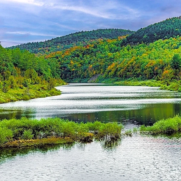 Author Tim Mulherin Discusses Northern Michigan's Changing Landscape at Glen Arbor Event