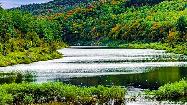 Author Tim Mulherin Discusses Northern Michigan's Changing Landscape at Glen Arbor Event