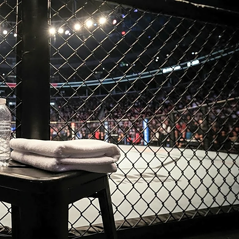 Paddy Pimblett Achieves Swift Victory Against Benoit Saint-Denis at UFC 329