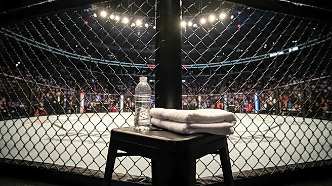 Paddy Pimblett Achieves Swift Victory Against Benoit Saint-Denis at UFC 329