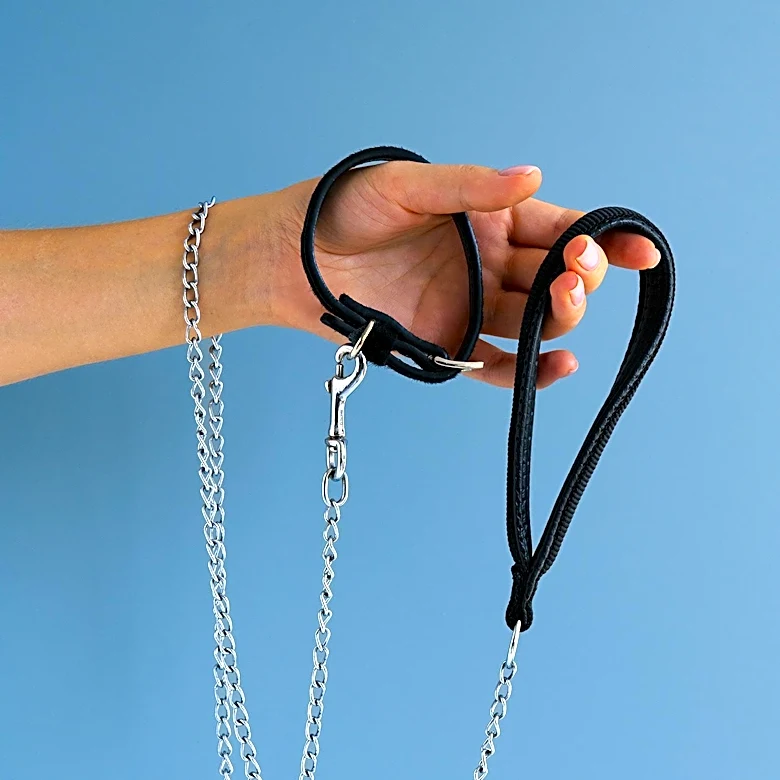 Fi Launches World's First Satellite-Connected Dog Collar to Aid Lost Pets