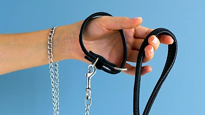 Fi Launches World's First Satellite-Connected Dog Collar to Aid Lost Pets