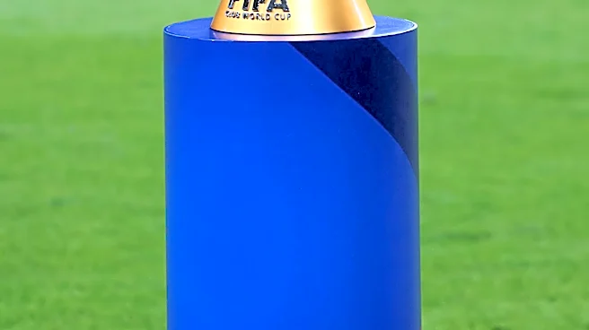 FIFA Sells World Cup Final Field Grass for $450, Sparking Collectible Craze