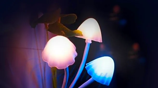 Innovative Outlet Extender with Night Light Gains Popularity for Convenience and Safety