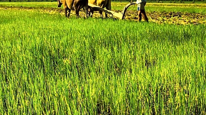 NSU Hosts Seminar on Traditional Agriculture and Indian Knowledge Systems