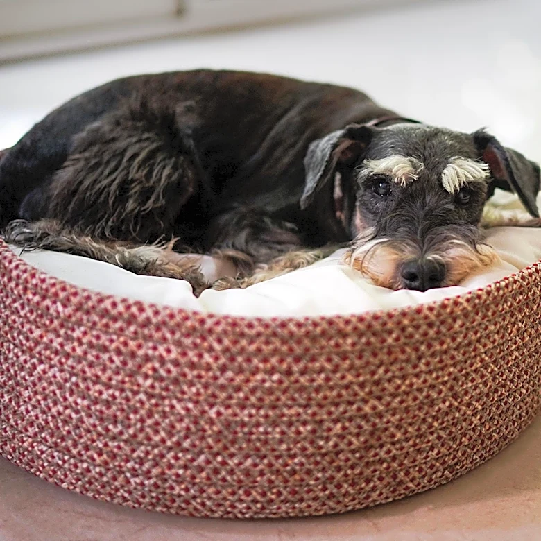 Bedsure Donut Bed: A Calming Solution for Anxious Pets