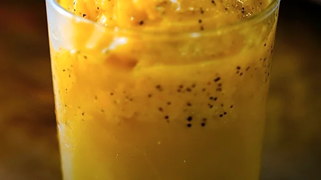 Ninja's New Slushie Machine Offers Relief During NYC Heat Wave with Dual-Flavor Capability