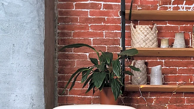 Consumer Reports Criticizes Frigidaire Retro-Style Fridge for Performance Issues