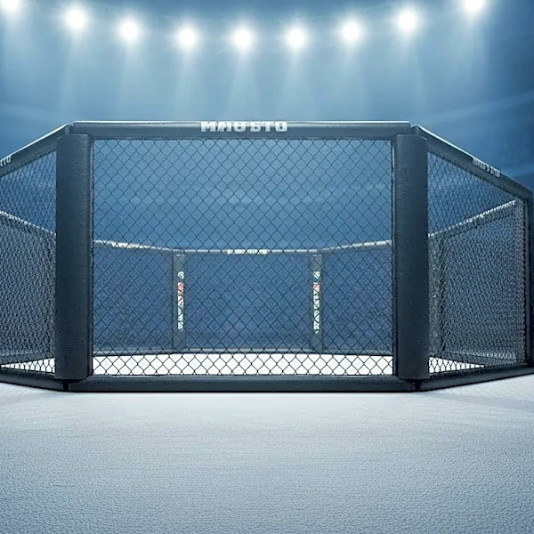 Dana White Criticizes UFC Production Team for Celebrity Misidentification at UFC 329