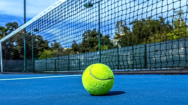 Jannik Sinner Triumphs Over Alexander Zverev to Retain Wimbledon Title