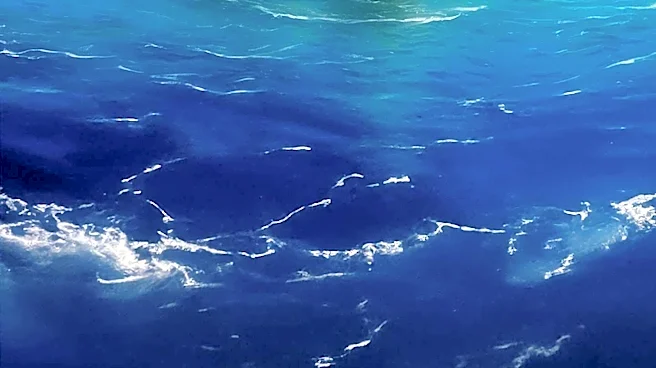 Disney's 'Moana' Live-Action Remake Underwhelms at Box Office
