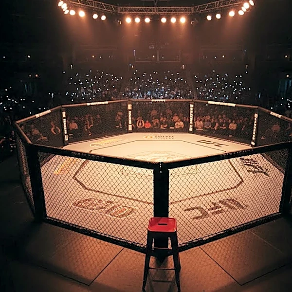 UFC 329: Benoit Saint Denis Faces Paddy Pimblett in Key Lightweight Bout