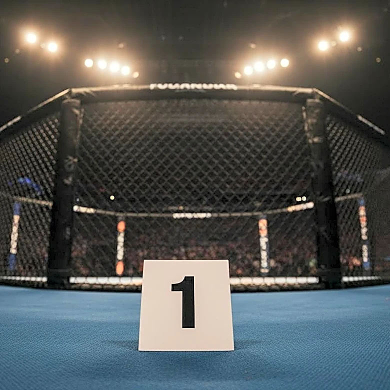 WNBA Star Sophie Cunningham Takes on Surprise Role as UFC Ring Girl at UFC 329