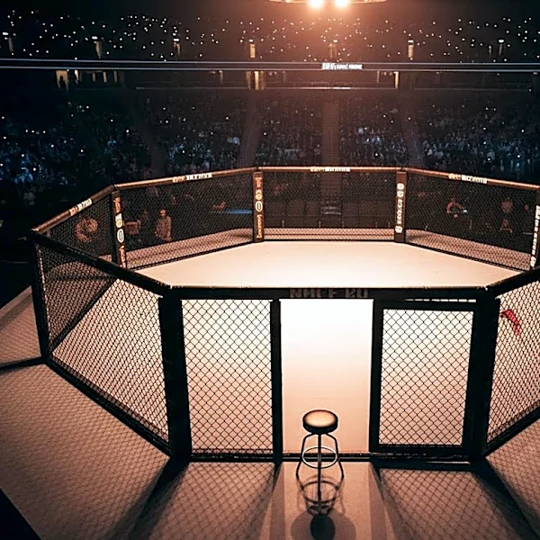 Robert Whittaker Addresses Skepticism After TKO Victory Over Nikita Krylov at UFC 329