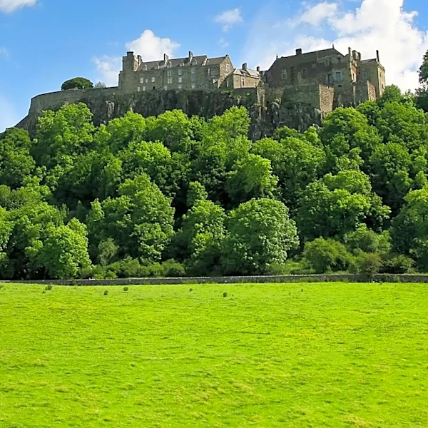 Scottish Woodlands Rebrands to Strengthen Irish Market Presence