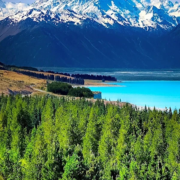 APT and Travelmarvel Launch Early Bookings for 2028-2029 New Zealand Program Amid High Demand