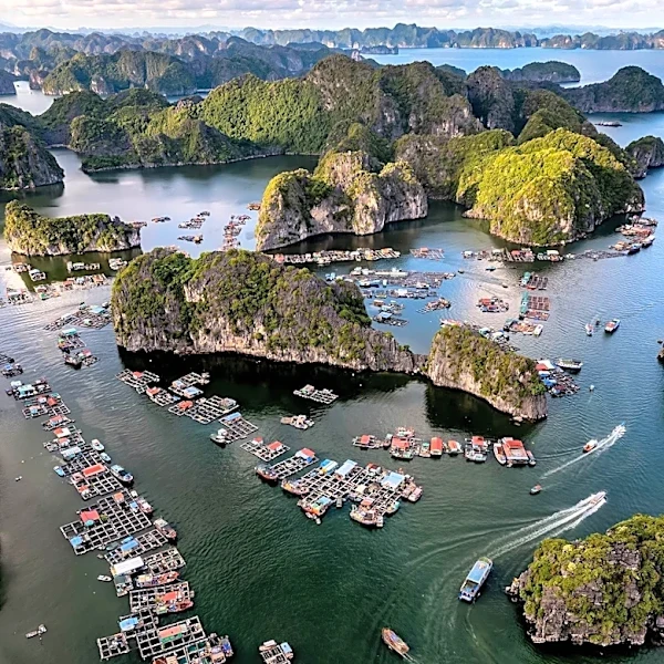 U.S. Agricultural Exports to Vietnam Surge Amid Economic Growth