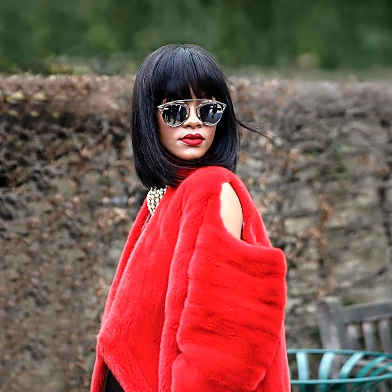 Rihanna Returns to Stage at Jay-Z Concert, Delights Fans with Surprise Performance