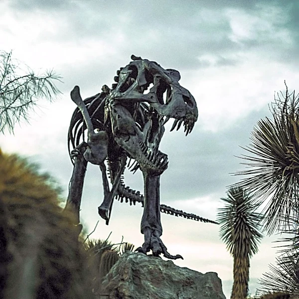 La Brea Tar Pits Undergoes $240 Million Renovation, Sparking Local Controversy