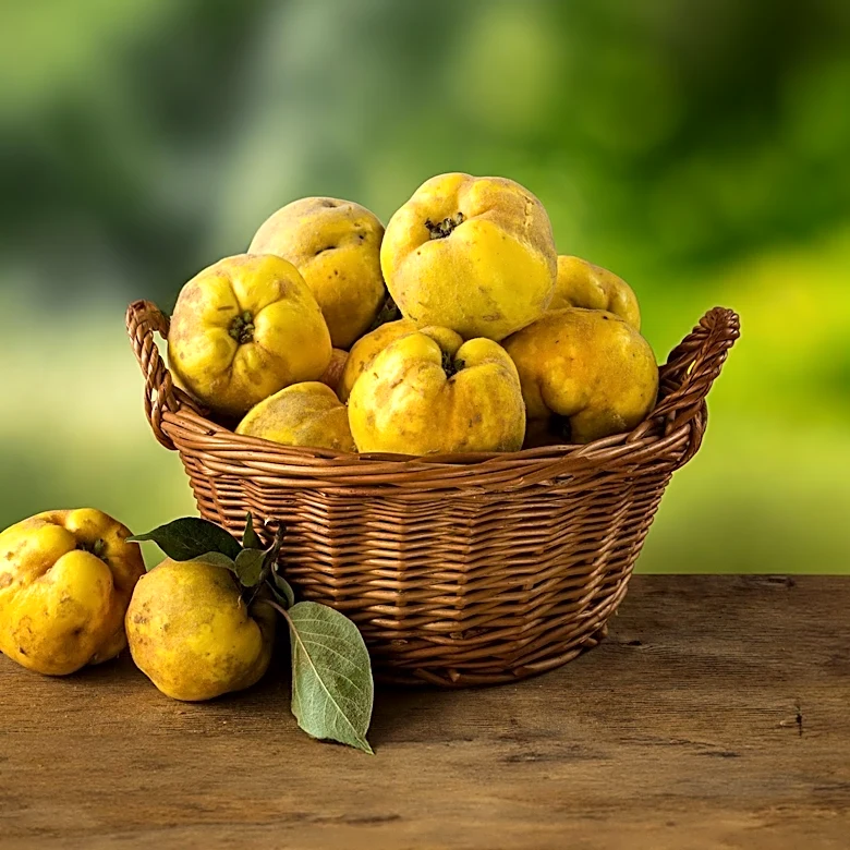 Quince Challenges Class Action Over 'Traditional Retail' Pricing Claims