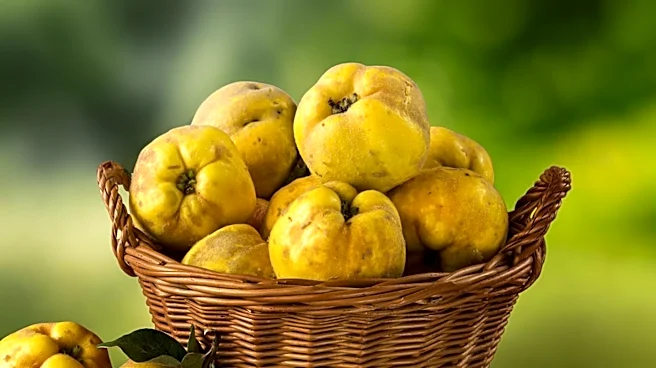 Quince Challenges Class Action Over 'Traditional Retail' Pricing Claims