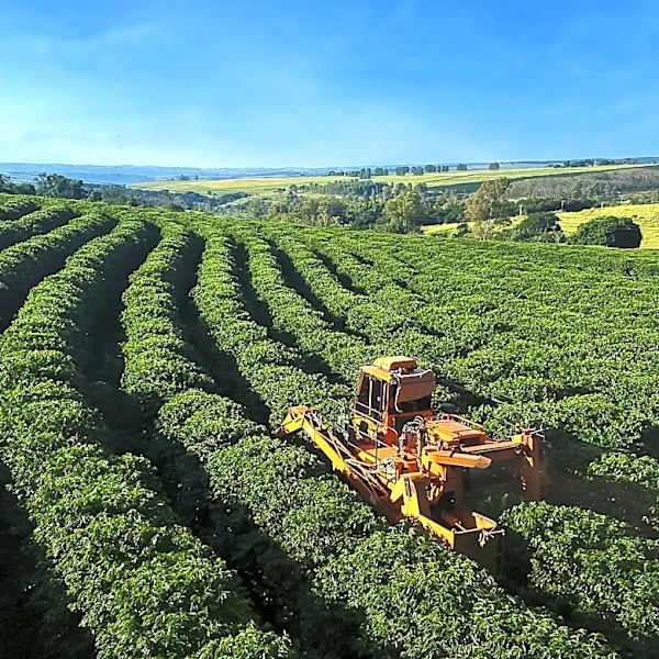 Autonomous Agricultural Technology Enhances Farming Efficiency Through Machine Coordination