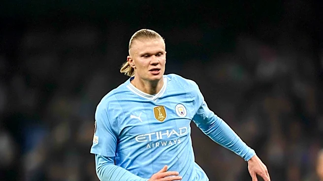 Erling Haaland's World Cup Souvenirs Spark Global Demand for Taxidermy
