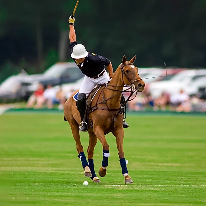 U.S. Polo Assn. Sponsors 2026 Royal Charity Polo Cup, Raising Over £1 Million