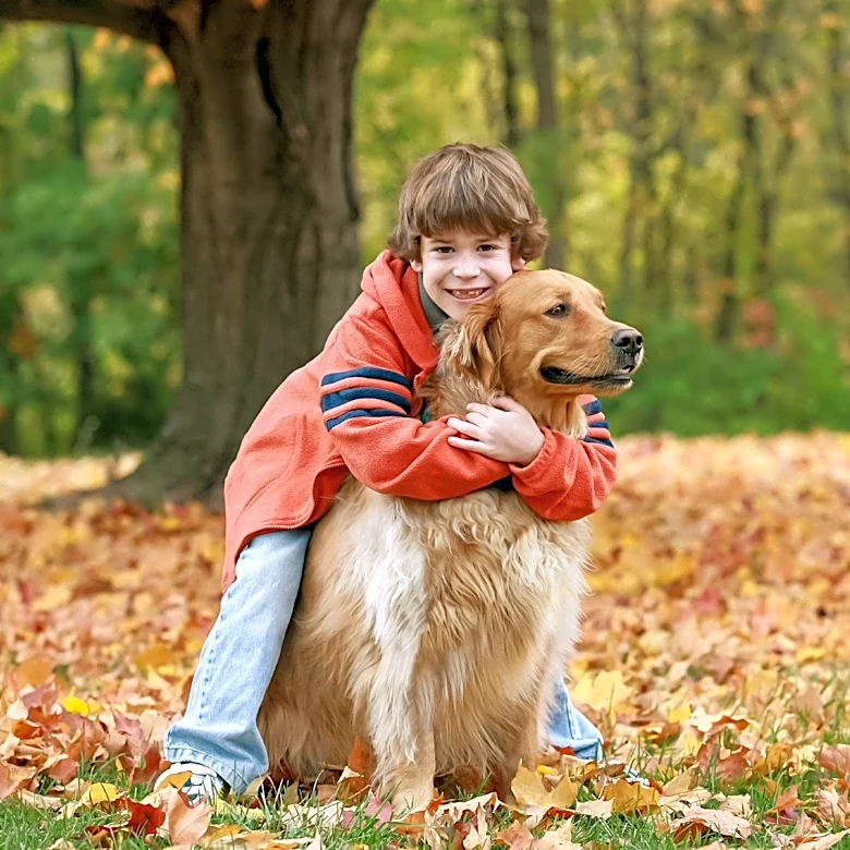 Toddler's Heartwarming Morning Ritual with Golden Retrievers Captivates Social Media