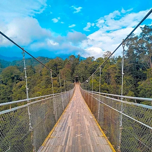 Pepeto Launches Cross-Chain Bridge Amidst Successful Presale, Connecting Ethereum, BNB Chain, and Solana