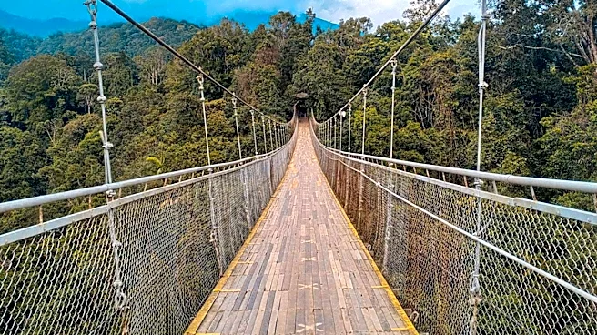 Pepeto Launches Cross-Chain Bridge Amidst Successful Presale, Connecting Ethereum, BNB Chain, and Solana