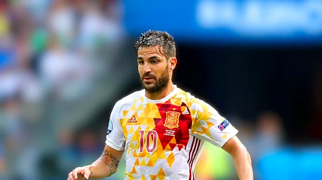 Spain's Controversial Penalty Against France in World Cup Semifinal Sparks Debate