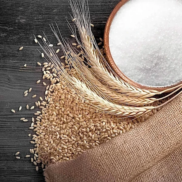 Global Grain Shipments Rise, But Future Outlook Faces Challenges